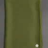 light green colour Pure GI Pashmina cashmere shawl