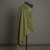 light green colour Pure GI Pashmina cashmere shawl