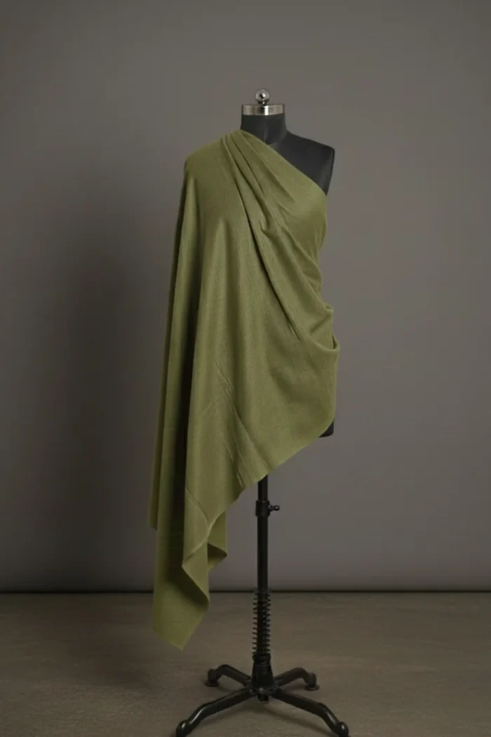 light green colour  Pure GI Pashmina cashmere shawl