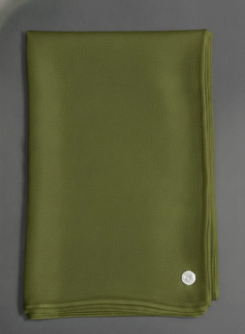 light green colour Pure GI Pashmina cashmere shawl