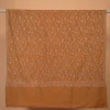 Pure GI  Pure GI  Pashmina cashmere shawl