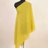 Pure Kashmiri pashmina shawl handcrafted -