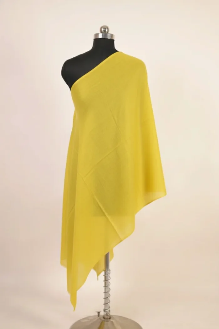  Pure Kashmiri pashmina shawl handcrafted -