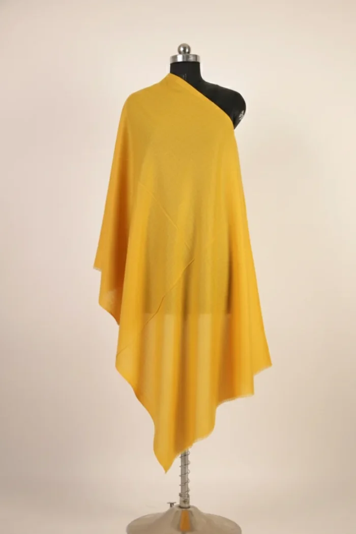 Pure Kashmiri pashmina shawl handcrafted in soft natural tones