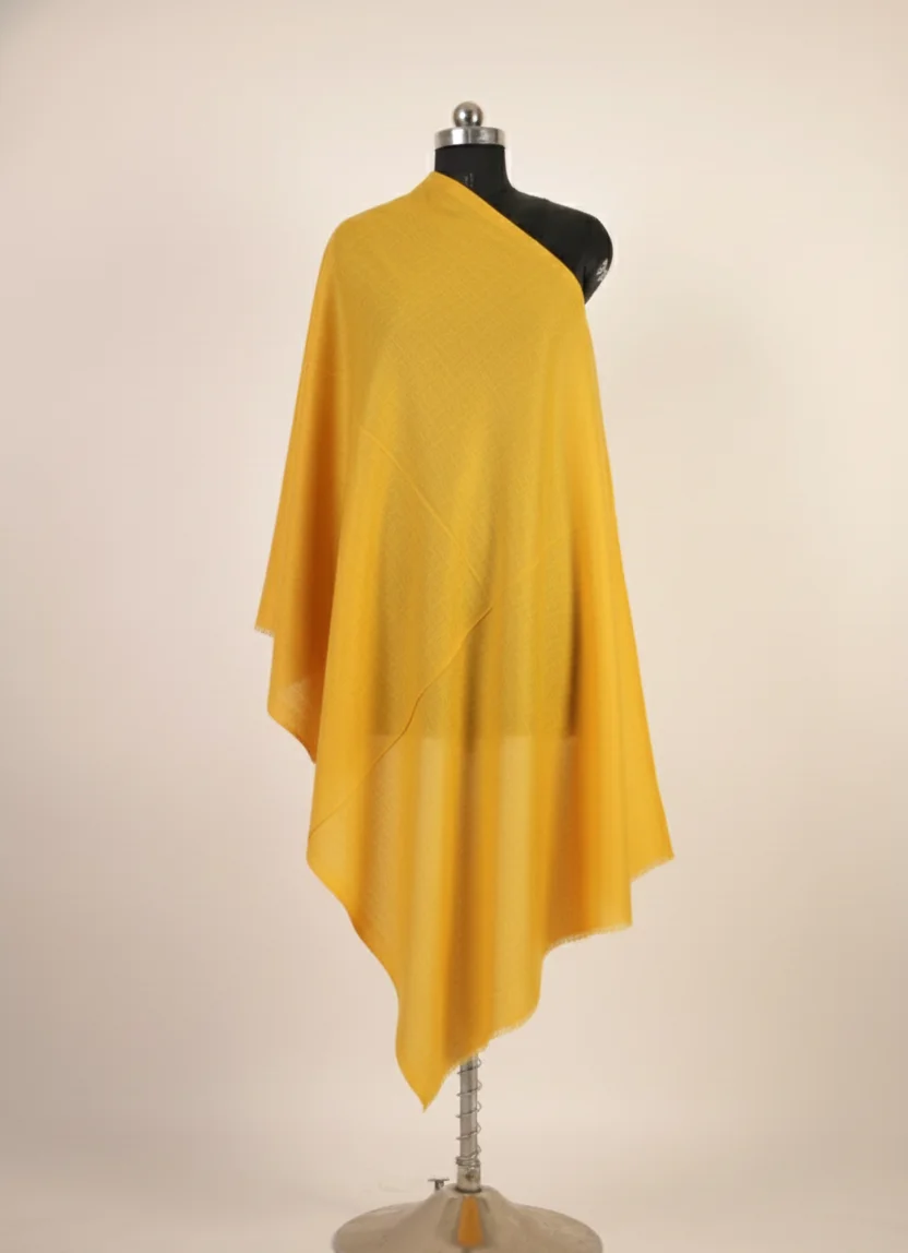 Pure Kashmiri pashmina shawl handcrafted in soft natural tones